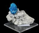 Vibrant Blue Cavansite Cluster on Stilbite - India #62871-1